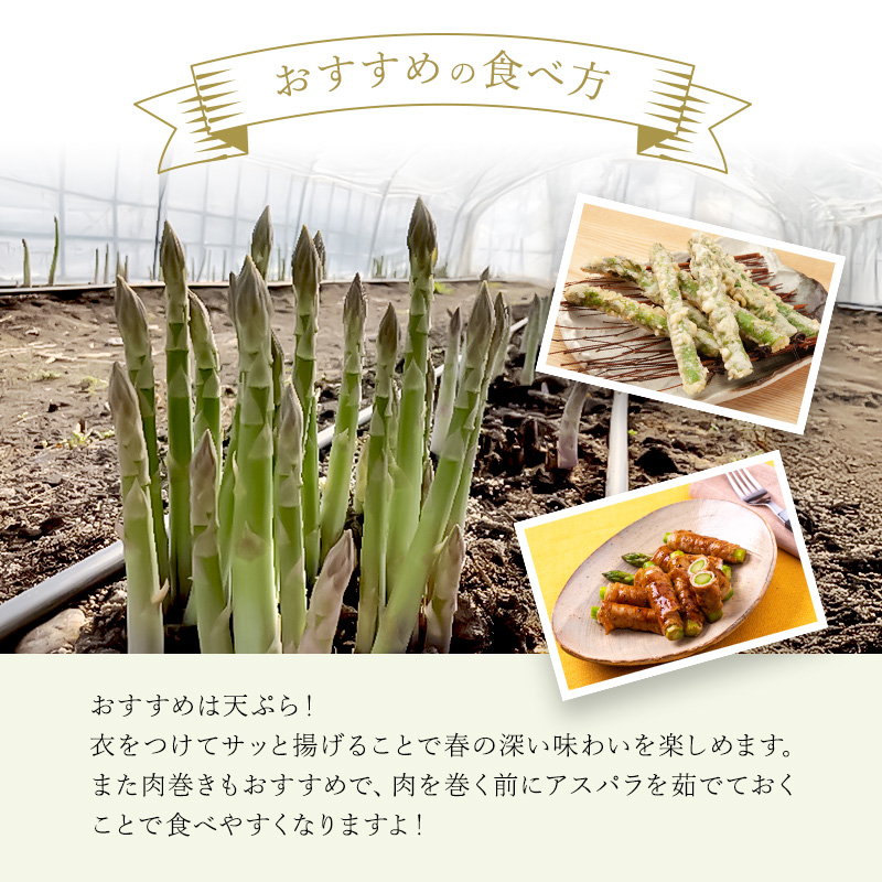 【令和7年産】先行予約  北海道 上富良野産 グリーン アスパラガス M-L サイズ 500g アスパラ 上富良野町 令和7年 発送 野菜 やさい【オンライン決済限定】