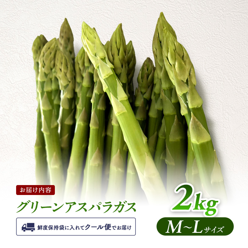 【令和7年産】先行予約  北海道 上富良野産 グリーン アスパラガス M-L サイズ 2kg アスパラ 上富良野町 令和7年 発送 野菜 やさい【オンライン決済限定】