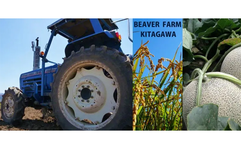 自家農園米 の どぶろく 「大地を醸せ（かもせ）」 3種類 200ml 3本 セット きぎ ゆき はな お酒 にごり酒 酒 アルコール 8～14％ 甘口 北海道産 上富良野