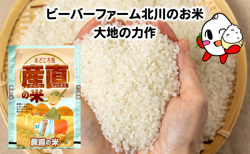 ななつぼし 米 10kg 精米 令和6年産 北海道産 お米 こめ 白米 ご飯 ごはん 食品 人気 上富良野 かみふらの 国産 北海道 上富良野町