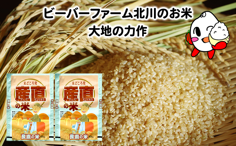 ななつぼし 米 20kg 玄米 令和6年産 北海道産 お米 こめ ご飯 ごはん 食品 人気 上富良野 かみふらの 国産 北海道 上富良野町