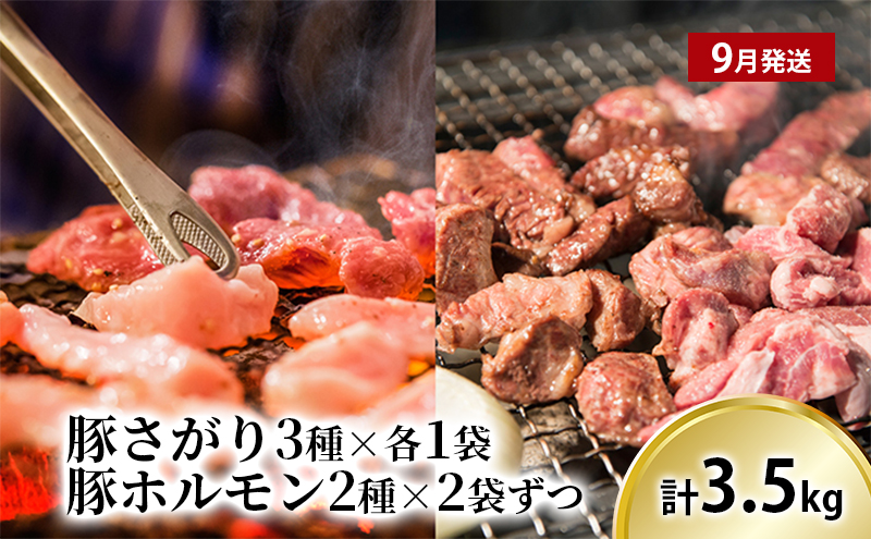 【令和7年産】北海道上富良野 容量満足ボリューム定期便 メロン 豚 ホルモン サガリ 炭酸水 ビール