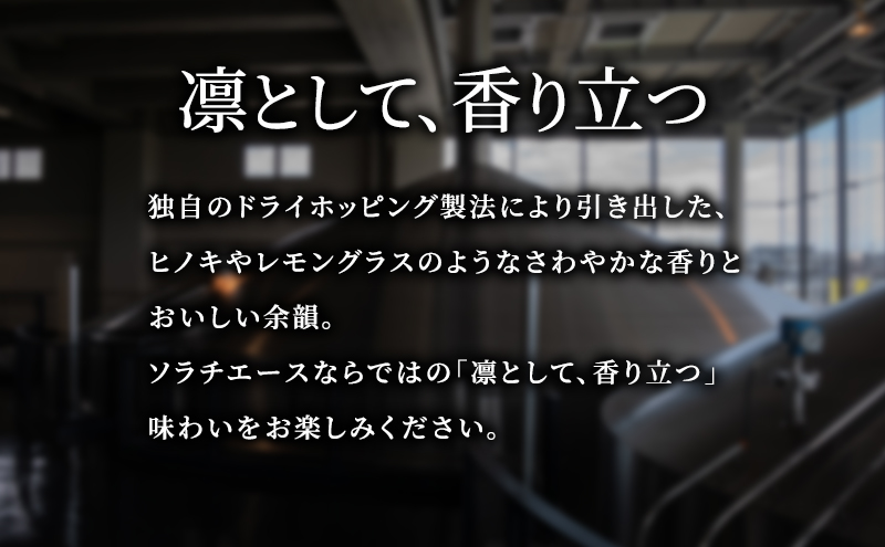 【12ヵ月連続定期便】北海道 上富良野町発祥 伝説のホップ SORACHI 1984 350ml×24缶 ソラチエース使用 サッポロ ビール クラフトビール 酒 アルコール 日用品 お酒