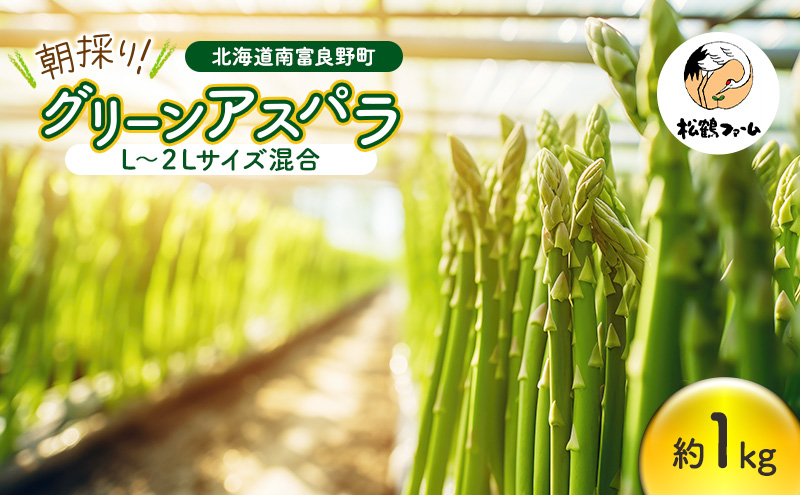 朝採り グリーンアスパラ L〜2Lサイズ混合 1kg[松鶴ファーム]アスパラ アスパラガス ハウスアスパラ 野菜 やさい 新鮮 とれたて 甘い 北海道 南富良野
