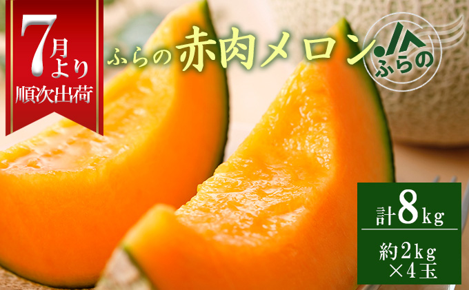 [ANA限定]2025年夏発送 メロン 北海道 ふらの 赤肉 メロン 2kg×4玉 JAふらの 厳選 産地直送 赤肉 富良野メロン フルーツ 果物 果実 旬 旬のくだもの デザート おやつ ギフト プレゼント 贈答 贈答用 贈答品 贈り物 富良野