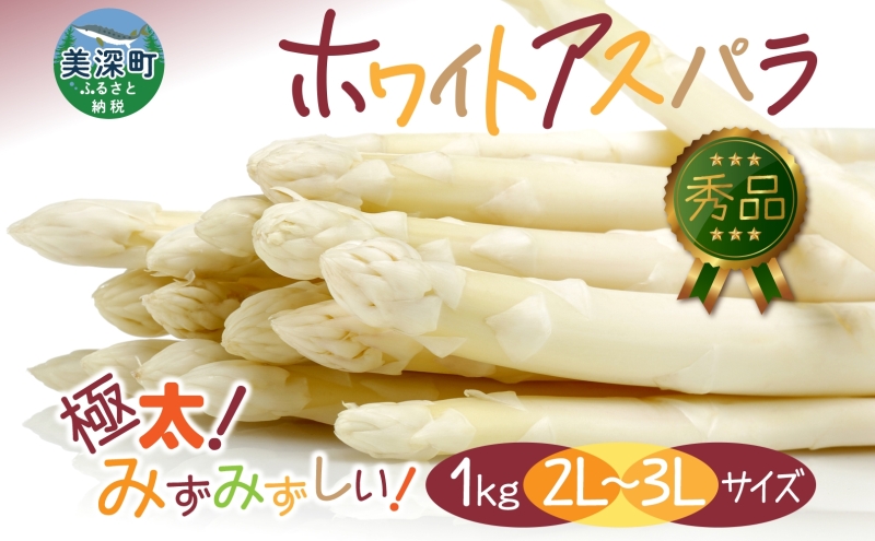 2026年発送  ホワイトアスパラ 1kg(2L～3L ）【秀品】 白旬 新鮮 野菜 朝採れ アスパラ アスパラガス ギフト 産地直送 お取り寄せ フレッシュ 甘い 春 春野菜 旬の味覚  季節 送料無料 北海道産 美深町