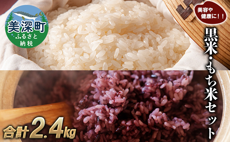 グルテンフリー 米粉 天ぷら粉 （山梨県米使用） 20kg (10kgx2)