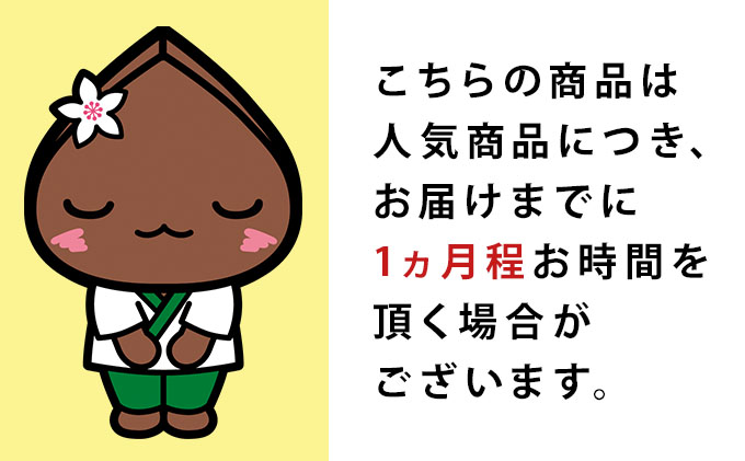 白銀の郷   200g×6束  12人前  昆布つゆ付  十割 そば 北海道 幌加内 そば 日本一 国産 十割 つゆ付き 喉越し 常温保存 詰め合わせ ギフト グルメ ランキング そばつゆ そば 蕎麦 麺類 乾麺