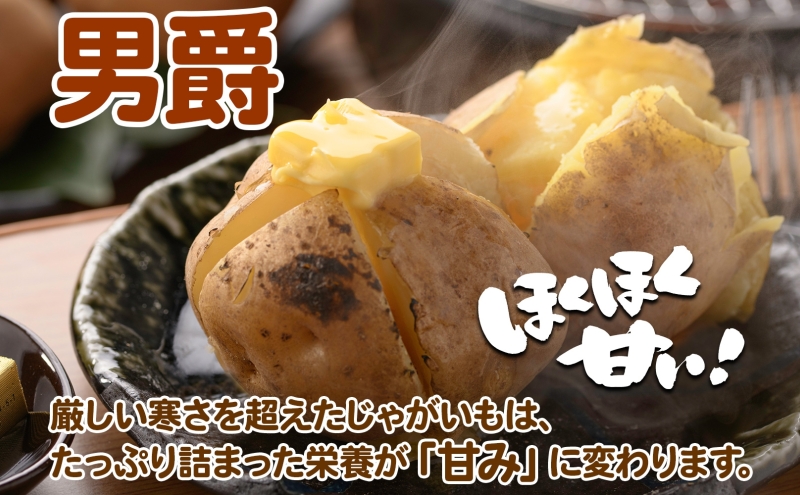 2025年秋以降出荷＞ 北海道 じゃがいも 男爵 M～L 約20kg 特別