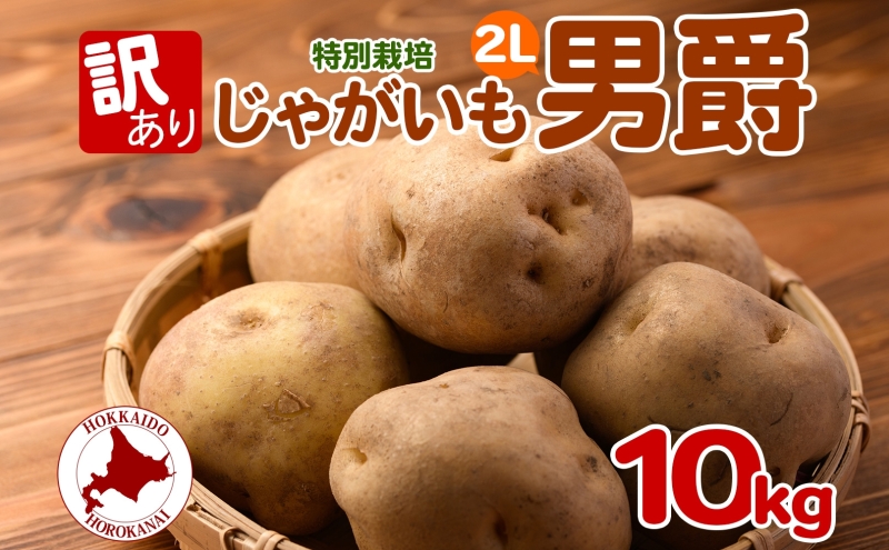 北海黄金 じゃがいも ギフト