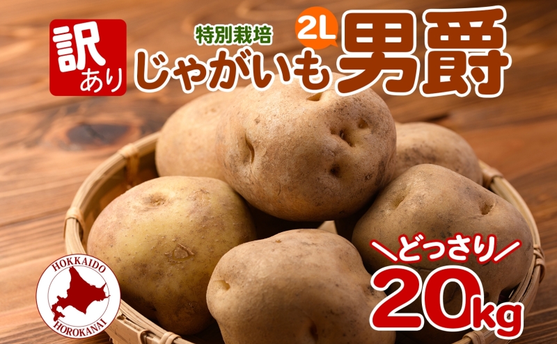 北海道産 訳あり じゃがいも きたあかり M～2L 約10kg ジャガイモ 