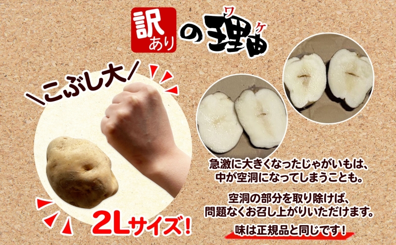 ＜2025年秋以降出荷＞北海道 訳あり 特別栽培 じゃがいも 男爵 2L 約20kg ジャガイモ 馬鈴薯 芋 野菜 根菜 旬 冬野菜 北海道産 国産 生 ポテト 甘い ホクホク 農作物 訳アリ 規格外 20キロ お取り寄せ 産地直送 食材