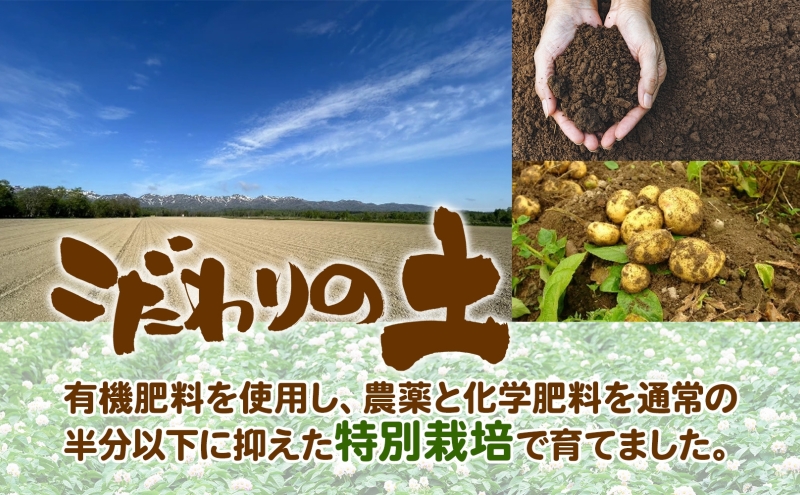 ＜2025年秋以降出荷＞北海道 特別栽培 じゃがいも きたあかり M～2L 約 10kg ジャガイモ 馬鈴薯 芋 いも イモ ポテト 野菜 根菜 旬 北海道産 国産 生 冬野菜 農作物 10キロ お取り寄せ 産地直送 畑農場