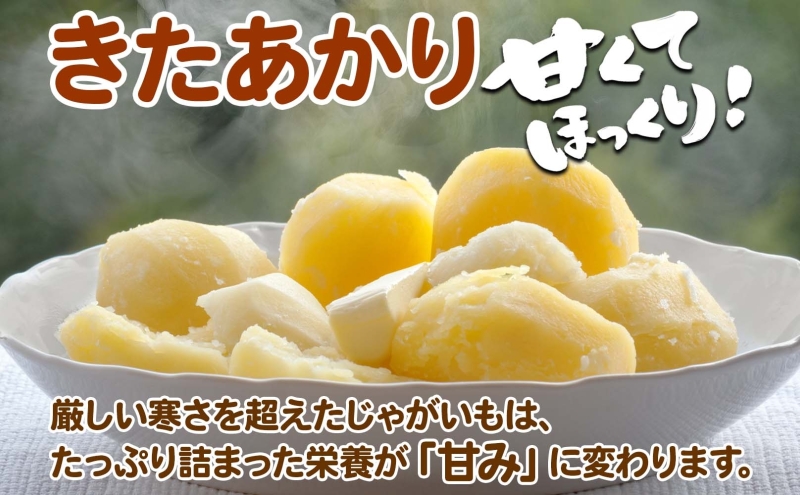 ＜2025年秋以降出荷＞ 北海道 じゃがいも きたあかり M～2L 約5kg 特別栽培 ジャガイモ 馬鈴薯 キタアカリ 芋 いも イモ ポテト 北あかり 野菜 農作物 お取り寄せ 産地直送 北海道産 畑農場 幌加内