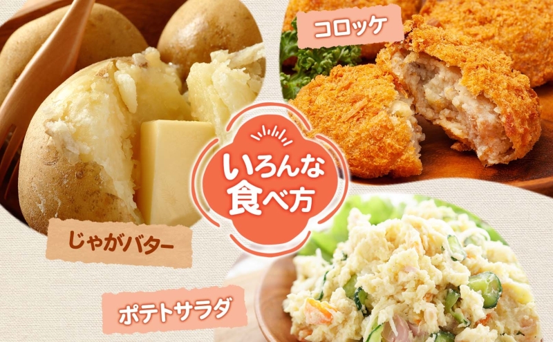 ＜2025年秋以降出荷＞ 北海道 じゃがいも きたあかり M～2L 約5kg 特別栽培 ジャガイモ 馬鈴薯 キタアカリ 芋 いも イモ ポテト 北あかり 野菜 農作物 お取り寄せ 産地直送 北海道産 畑農場 幌加内