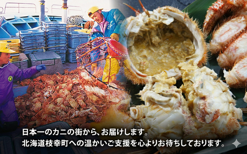 オホーツク産 北隆丸 冷凍ボイル 毛ガニ 約450g×2尾【 カニ かに 蟹 毛ガニ 毛蟹 冷凍 魚貝 魚介 海鮮 北海道 オホーツク 枝幸 】