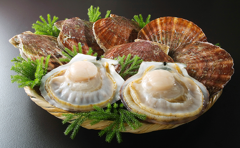 北海道枝幸産 活ホタテ 3kg 【枝幸ほたて】 あければオホーツク 北海道 冷凍 貝柱 魚介 海 オホーツク 帆立 BBQ