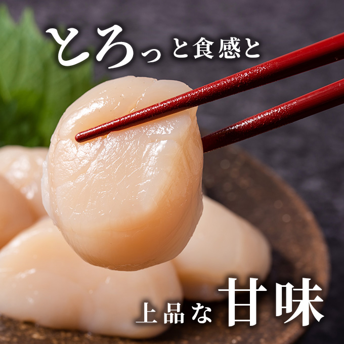 北海道 オホーツク産 ふるさとの贈り物 500gの冷凍ほたて貝柱【 枝幸ほたて 】至福の味 海洋食品 刺身 魚介 帆立