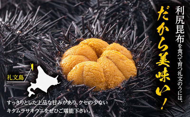 NO.8うにきよ 北海道 礼文島産 採れたて キタムラサキウニ 塩水パック 100g×2