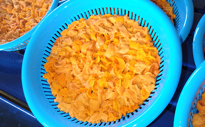 北海道 礼文島産 生うに (えぞばふんうに) 塩水パック 100g×2 生ウニ 塩水うに 魚貝類 雲丹