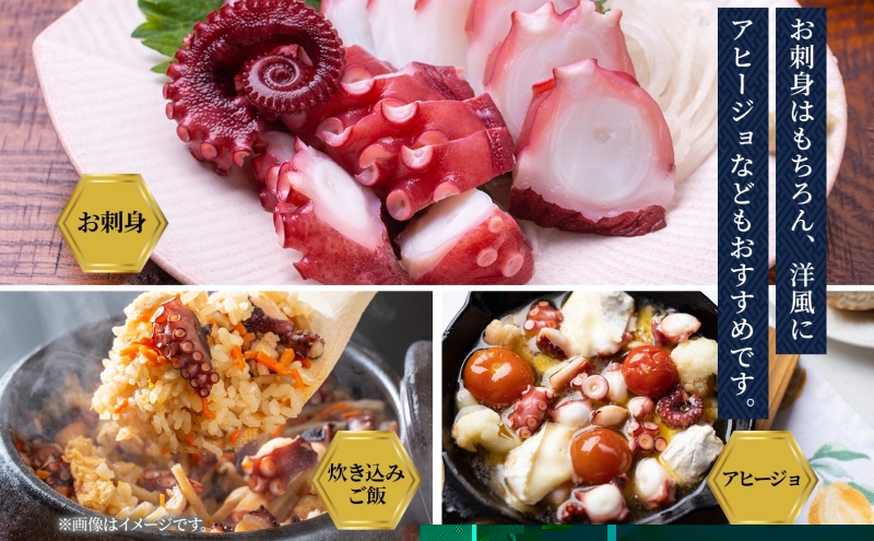 北海道 煮たこ足 2本 約1.2kg 刺身用 蛸 たこ タコ 水たこ 北海道産 大陸棚 海鮮 海産物 魚介 魚貝 煮たこ たこ足 海の幸 料理 新鮮 刺身 たこ焼き 便利 冷凍