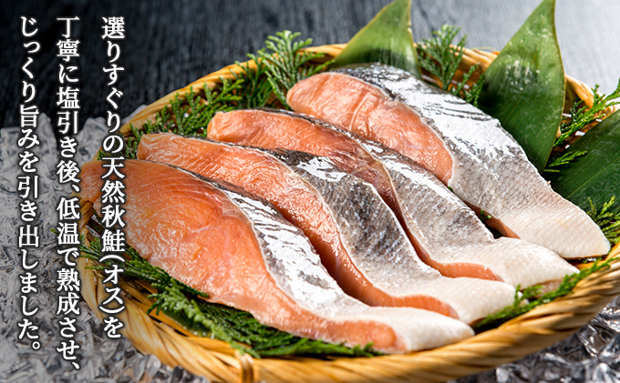 北海道産 低温熟成新巻鮭切り身 約1.2kg 10切入(2切×5パック) 2025年2月順次出荷 北海道 秋鮭 小分け 鮭 さけ しゃけ シャケ 中塩 海鮮 冷凍 お弁当 真空パック おかず