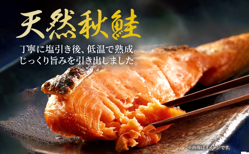 北海道産 低温熟成新巻鮭切り身 約1.2kg 10切入(2切×5パック) 2025年2月順次出荷 北海道 秋鮭 小分け 鮭 さけ しゃけ シャケ 中塩 海鮮 冷凍 お弁当 真空パック おかず