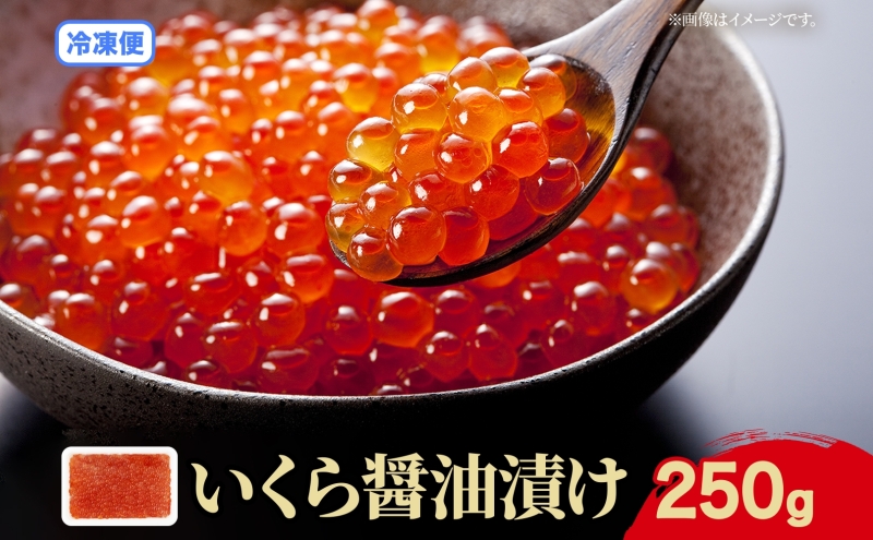 北海道産 いくら醤油漬け 250g 北海道 イクラ醤油漬け 小分け いくら 国産 イクラ 海鮮 魚介 魚卵 海産物 醤油漬け 鮭いくら 新鮮 寿司 刺身 おかず おつまみ 贅沢 お取り寄せ グルメ 贈り物 ギフト プレゼント