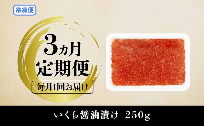 定期便 3ヵ月連続 全3回 北海道産 いくら醤油漬け 250g 北海道 イクラ醤油漬け 小分け いくら 国産 イクラ 海鮮 魚介 魚卵 海産物 醤油漬け 鮭いくら 寿司 刺身 贅沢 お取り寄せ グルメ ギフト プレゼント 化粧箱