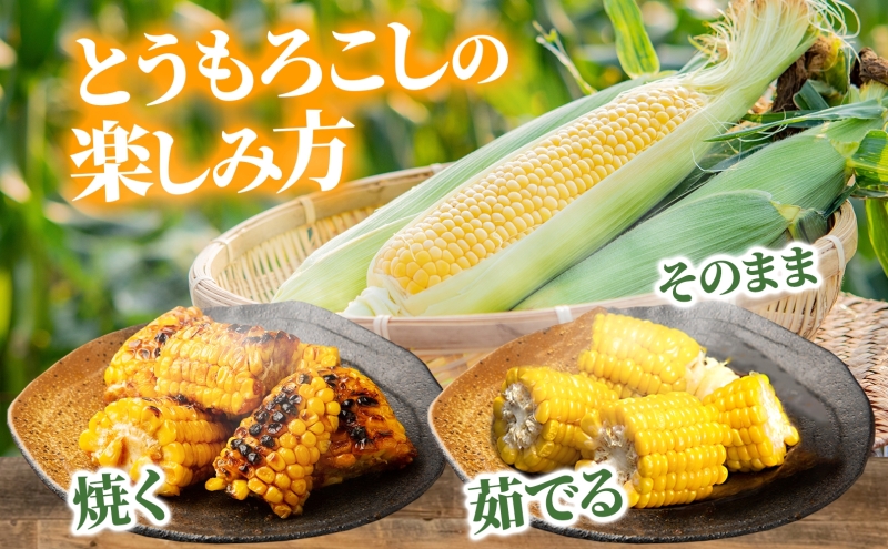 規格外 白いとうもろこし 70本 楽天市場】【2025年度予約】ピュアホワイトSP 訳アリ 白い