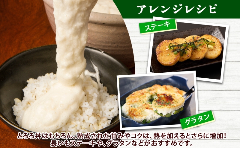 北海道産 長いも 春夏出荷 約5kg 2026年5月上旬～6月下旬頃お届け 長芋 ながいも とろろ 農作物 野菜 新鮮 根菜 山かけ 産地直送 お取り寄せ 送料無料 冷蔵 北海道 洞爺湖町