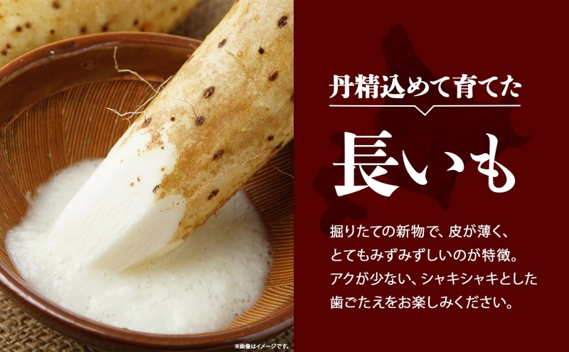 北海道産 長いも 秋冬出荷 約5kg 2025年11月中旬～2026年3月下旬お届け 長芋 ながいも とろろ 農作物 野菜 新鮮 根菜 新物 山かけ 産地直送 お取り寄せ 送料無料 冷蔵 北海道 洞爺湖町