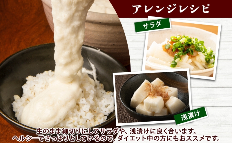 北海道産 長いも 秋冬出荷 約5kg 2025年11月中旬～2026年3月下旬お届け 長芋 ながいも とろろ 農作物 野菜 新鮮 根菜 新物 山かけ 産地直送 お取り寄せ 送料無料 冷蔵 北海道 洞爺湖町