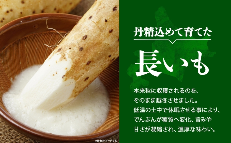 北海道産 長いも 春夏出荷 約10kg 2026年5月上旬～6月下旬頃お届け 長芋 ながいも とろろ 農作物 野菜 新鮮 根菜 山かけ 産地直送 お取り寄せ 送料無料 冷蔵 北海道 洞爺湖町