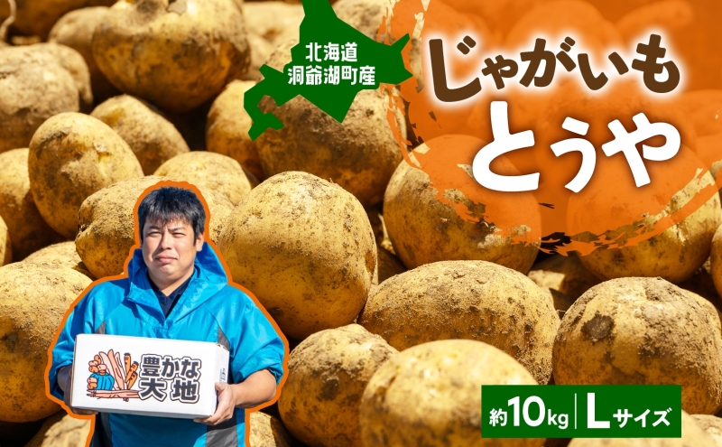北海道産 青野農園 じゃがいも とうや Lサイズ 約10kg 10月初旬