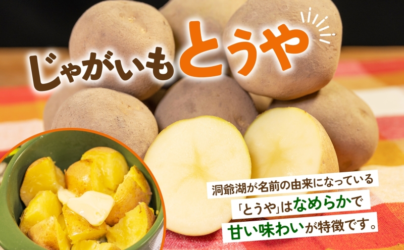 北海道産 青野農園 じゃがいも とうや Lサイズ 約10kg 10月初旬～12月下旬頃お届け 北海道 ジャガイモ トウヤ 馬鈴薯 ポテト 芋 いも イモ 黄色 旬 野菜 農作物 産地直送 お取り寄せ 送料無料