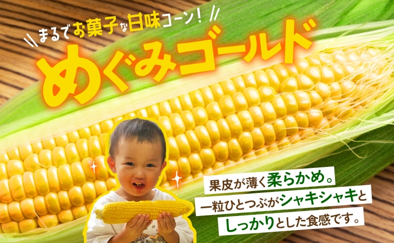 北海道産 青野農園 めぐみ ゴールド 2Lサイズ 約10kg 先行受付 2026年8月中旬頃から出荷 スイートコーン 北海道 とうもろこし トウモロコシ コーン 恵味 旬 朝採れ 新鮮 野菜 農作物 産地直送 甘い
