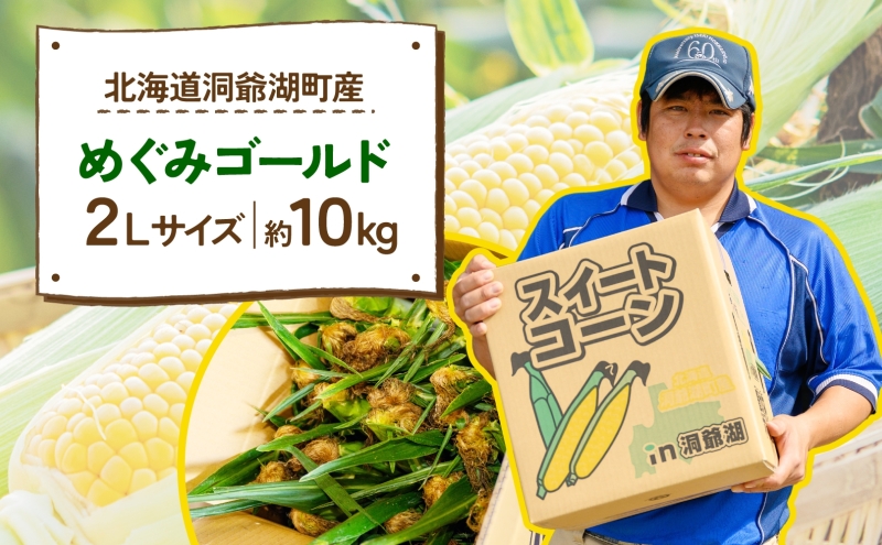 北海道産 青野農園 めぐみ ゴールド 2Lサイズ 約10kg 先行受付 2026年8月中旬頃から出荷 スイートコーン 北海道 とうもろこし トウモロコシ コーン 恵味 旬 朝採れ 新鮮 野菜 農作物 産地直送 甘い