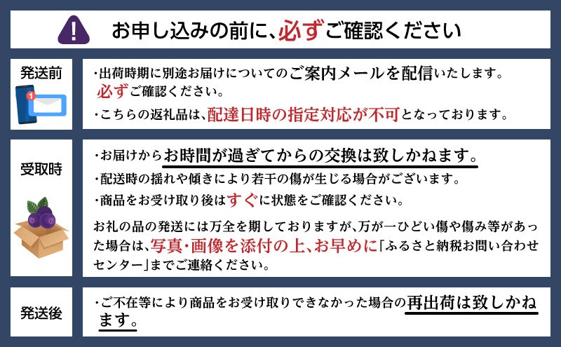 北海道 洞爺湖町産 フレッシュ ブルーベリー 500g 2パック 計1kg 7月25日から順次お届け 北海道産 ブルーベリー 果物 果実 フルーツ 新鮮 国産 ベリー 農作物 お取り寄せ 冷凍 長期 保存 送料無料