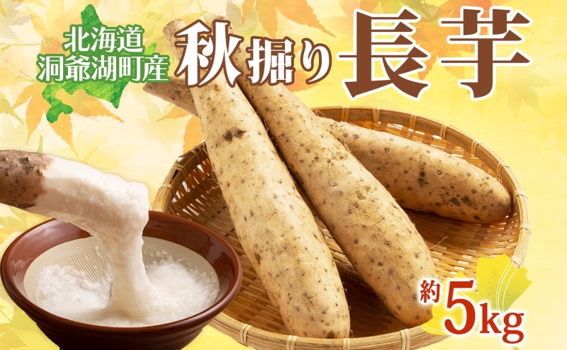 北海道 洞爺湖町産 秋掘り 長芋 約5kg 先行受付 2025年 11月中旬～下旬にお届け 長いも ながいも 芋 山芋 山うなぎ とろろ ステーキ 万能 旬 秋 野菜 根菜 常温 塩田農園
