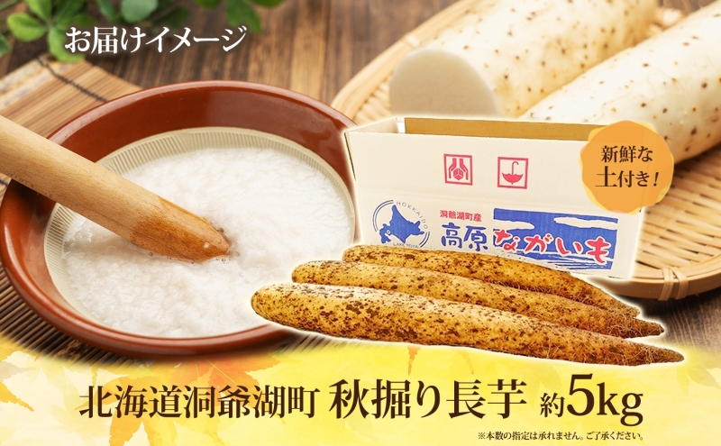 北海道 洞爺湖町産 秋掘り 長芋 約5kg 先行受付 2025年 11月中旬～下旬にお届け 長いも ながいも 芋 山芋 山うなぎ とろろ ステーキ 万能 旬 秋 野菜 根菜 常温 塩田農園