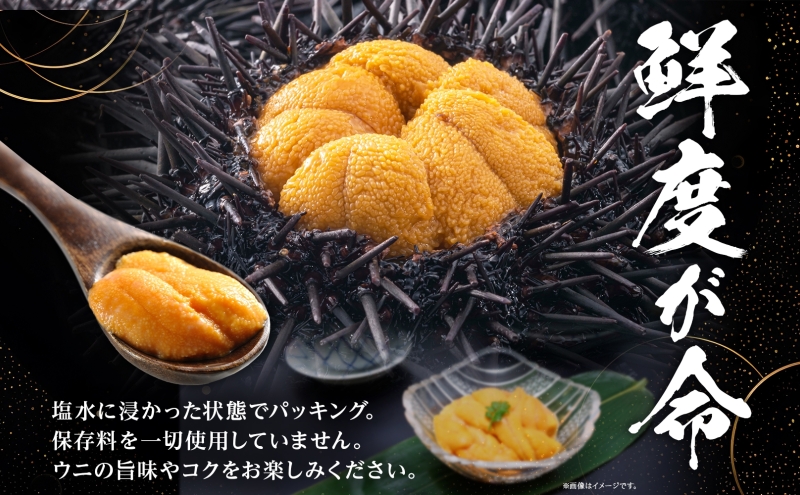 北海道 無添加塩水 ウニ 100g 3パック 6月中旬～8月末頃まで順次出荷 バフン ムラサキ うに 雲丹 海鮮 小川商店