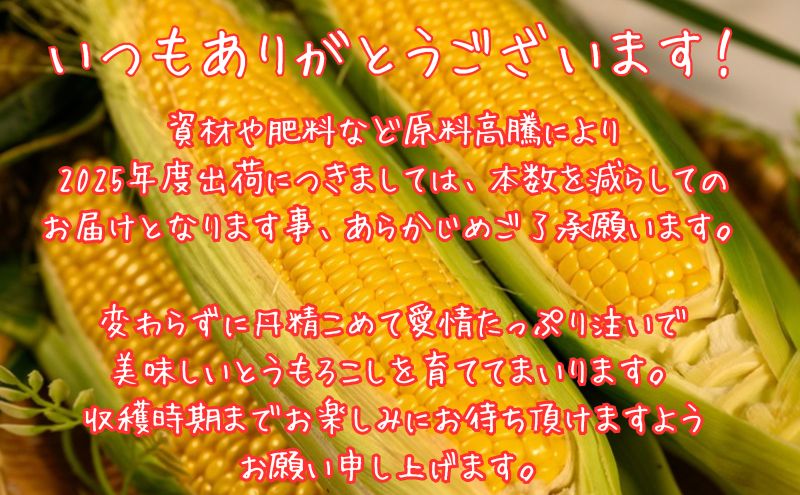 北海道産 とうもろこし 恵味 ゴールド 2L 8本 8月中旬～9月下旬頃お届け 朝採り 恵味 めぐみトウモロコシ スイート コーン 甘い 新鮮 先行受付 夏 野菜 産地直送 塩田農園 送料無料 北海道 洞爺湖町
