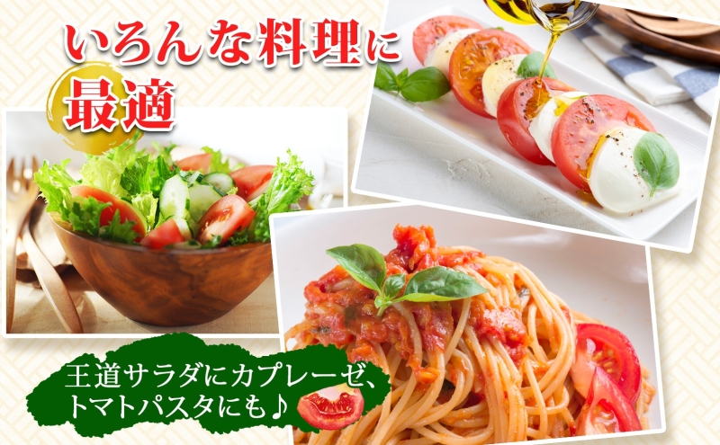 北海道 高橋農園 桃太郎トマト 4kg以上 M～Lサイズ (18玉～24玉) 5月下旬～9月上旬お届け 大玉トマト tomato 産地直送 農家直送 新鮮 野菜 安心 安全 とれたて 完熟 洞爺湖町 送料無料