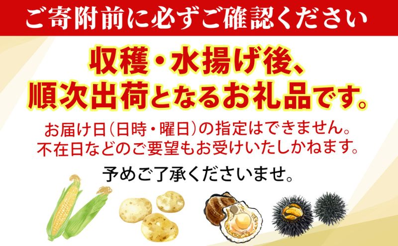 北海道産 青野農園 土つき 長いも 約5kg 5～7本 11月下旬～1月中旬ごろお届け ながいも 土付き 北海道 長芋 自然薯 とろろ いも イモ 旬 野菜 農作物 産地直送 お取り寄せ 送料無料 根菜 とろろご飯
