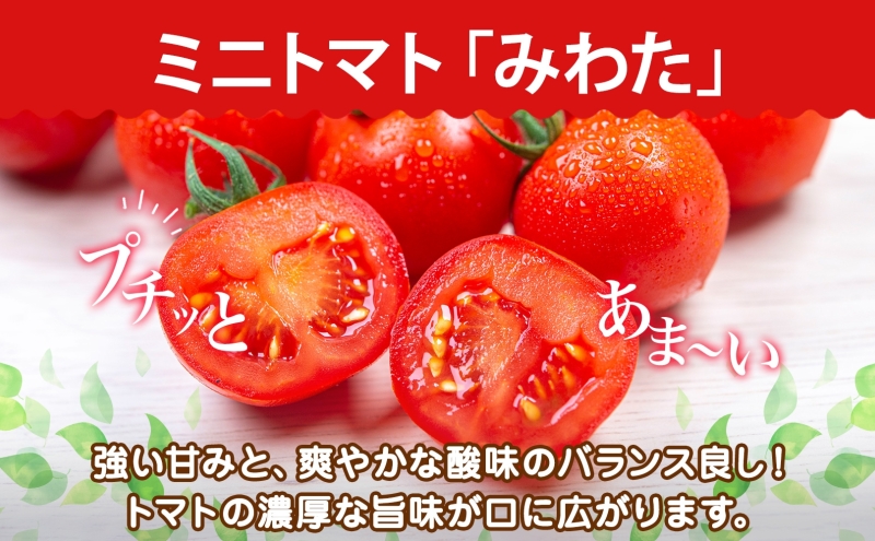 北海道 有機JAS認定 ミニトマト みわた 150g×8パック 先行予約 2025年 7月中旬～9月上旬頃にお届け 先行受付 有機栽培 新鮮 旬 野菜 安心 安全 濃厚 トマト 産地直送 農家直送