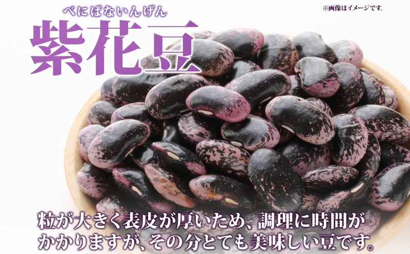北海道 洞爺湖町産 高級菜豆の紫花豆 500g 2袋 計1kg 12月中旬よりお届け 紫花豆 菜豆 むらさきはなまめ 高級 菜豆煮豆 豆 まめ マメ 乾物 長期保存 お取り寄せ グルメ ギフト 送料無料