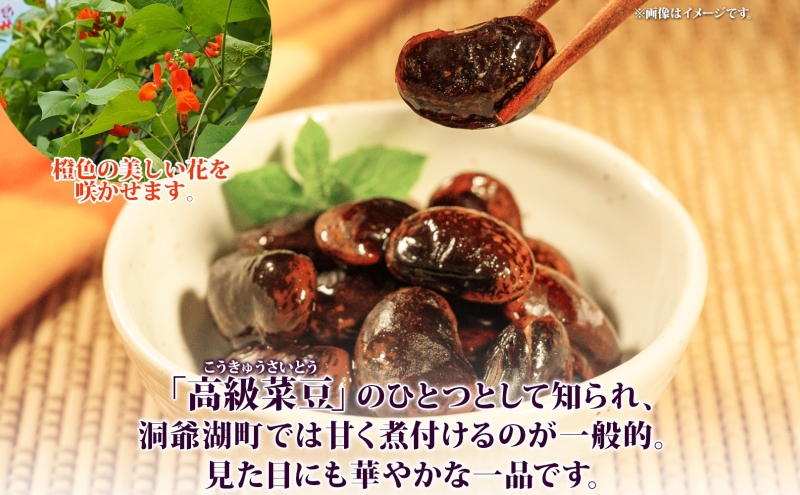 北海道 洞爺湖町産 高級菜豆の紫花豆 500g 2袋 計1kg 12月中旬よりお届け 紫花豆 菜豆 むらさきはなまめ 高級 菜豆煮豆 豆 まめ マメ 乾物 長期保存 お取り寄せ グルメ ギフト 送料無料