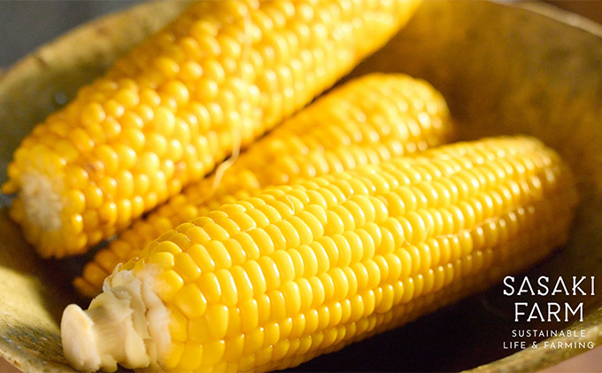 北海道産 とうもろこし 4kg前後 12-14本 8月30日から9月末頃まで順次出荷 北海道 トウモロコシ とうきび 旬 完熟 朝もぎ 野菜 産地直送 お取り寄せ 佐々木ファーム 送料無料 洞爺湖