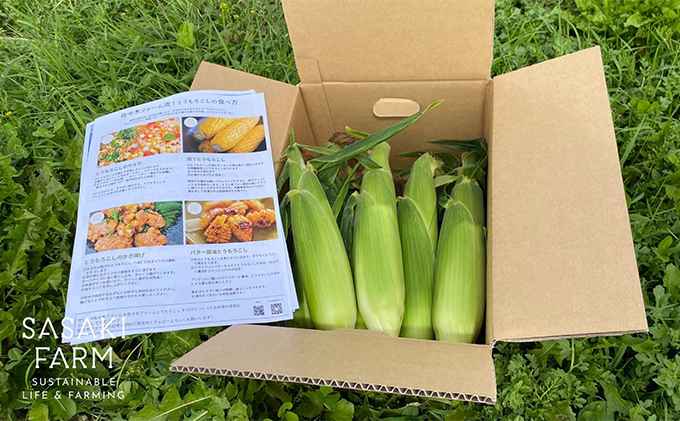 北海道産 とうもろこし 4kg前後 12-14本 8月30日から9月末頃まで順次出荷 北海道 トウモロコシ とうきび 旬 完熟 朝もぎ 野菜 産地直送 お取り寄せ 佐々木ファーム 送料無料 洞爺湖